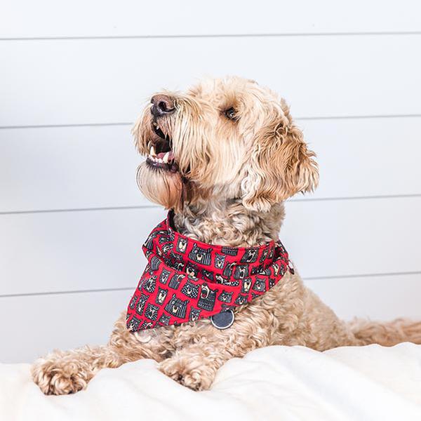 Matching Elf Pajamas Lazy One