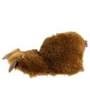 Brown Bear Kid and Adult Paw Slipper