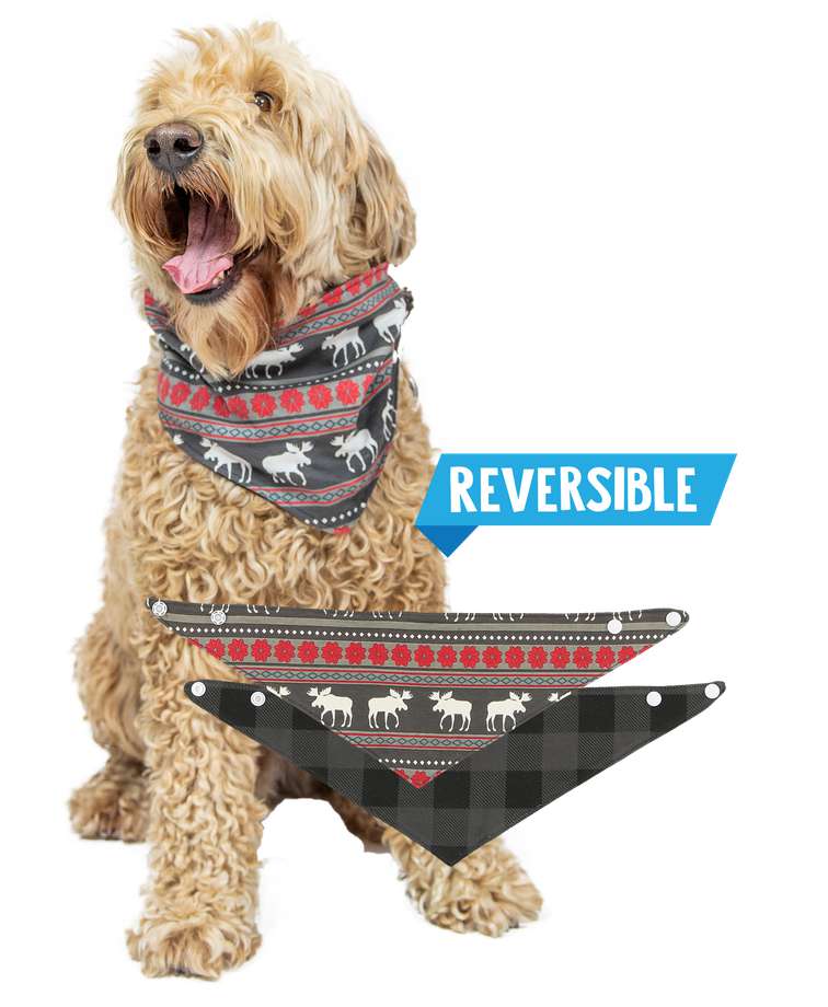 Moose Fair Isle Dog Bandana