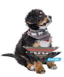Moose Fair Isle Dog Bandana