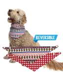 Sweet Cheeks Dog Bandana