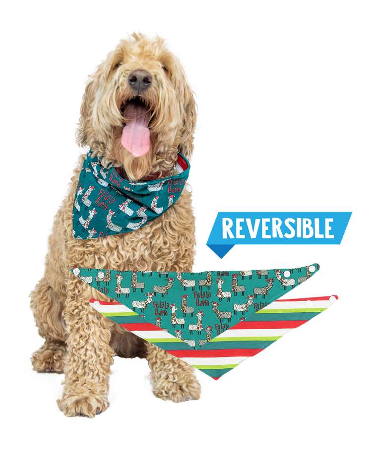 Fa La La Llama Dog Bandana
