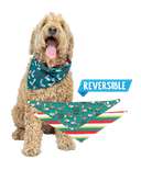 Fa La La Llama Dog Bandana
