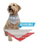 Nordic Dog Bandana