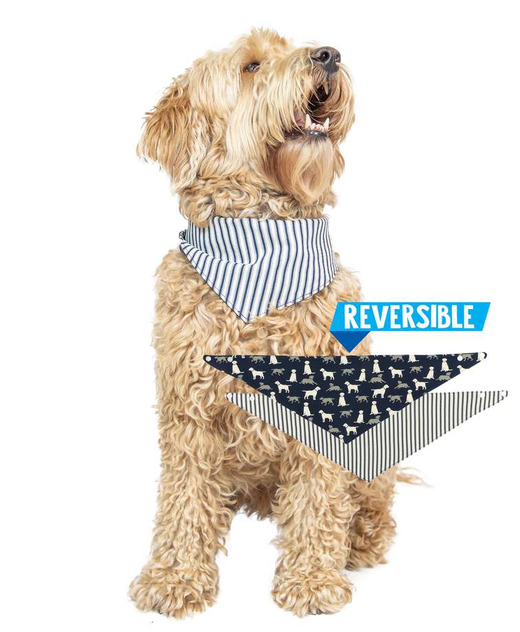 Labs Dog Bandana