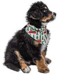 Tailgate Dog Bandana