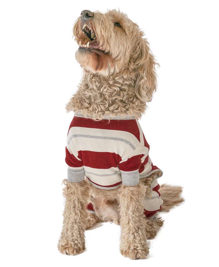 Country Stripe Dog Onesie Flapjack