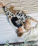Family Bear Dog Onesie Flapjack