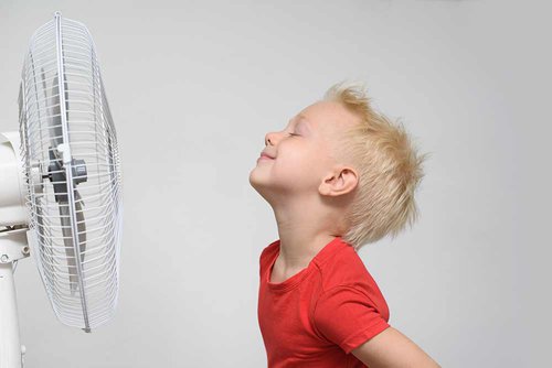 fan to keep cool